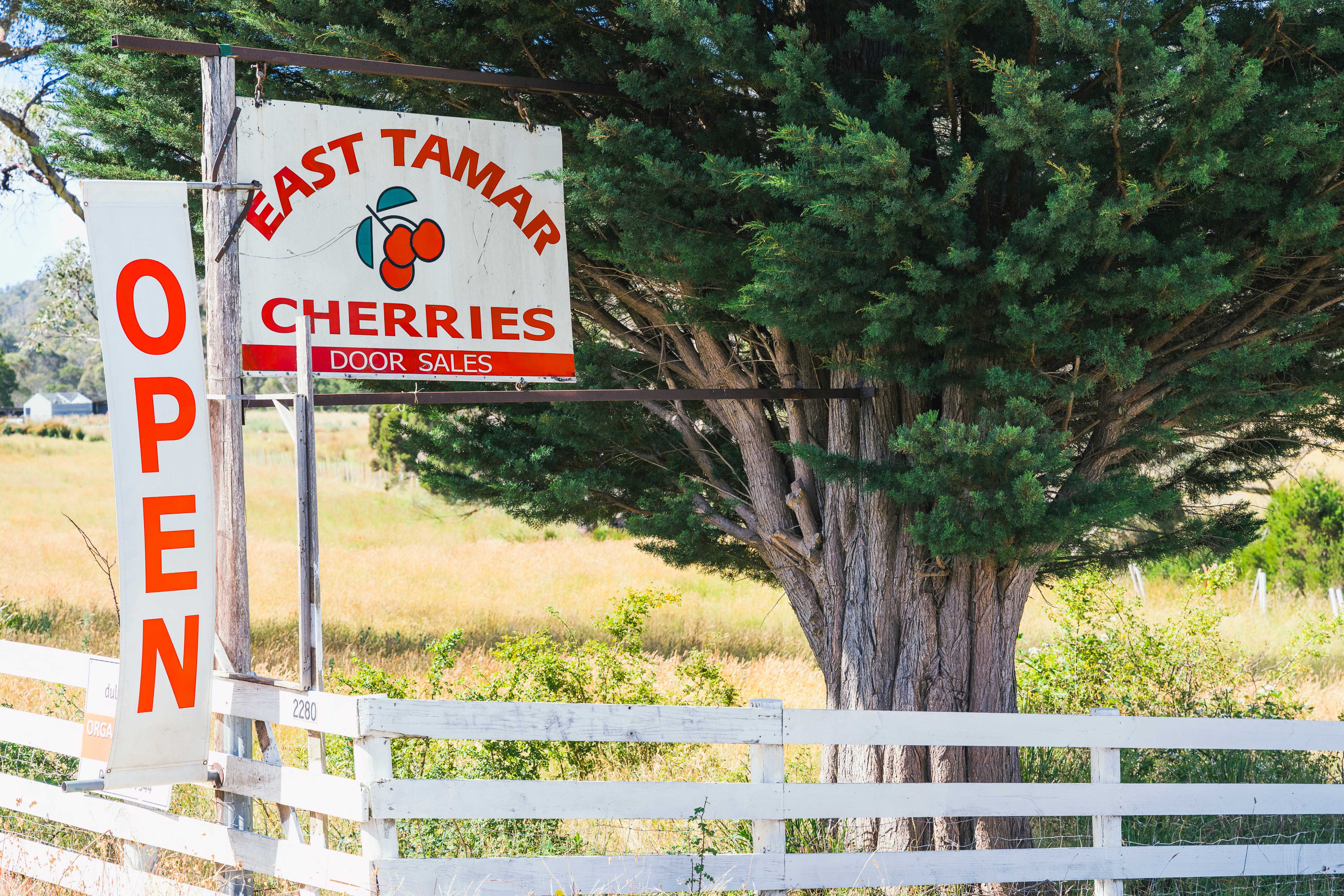 White fence with an open sign and a sign for East Tamar Cherries door sales. Photo: Aunita Cherries.