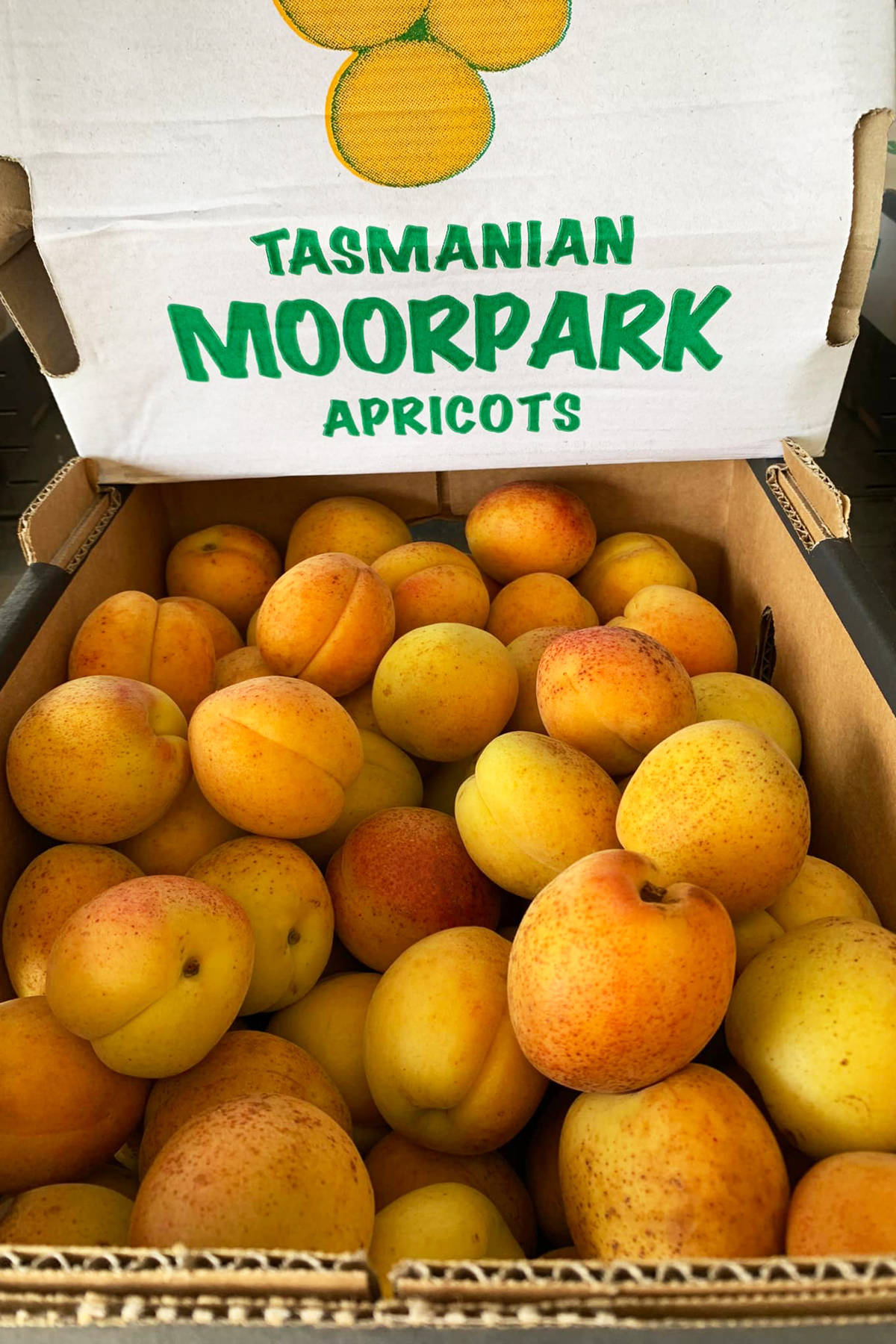 Pile of picked apricots marked with Tasmanian Moorpark apricots sign. Photo: Lowdina Orchard.