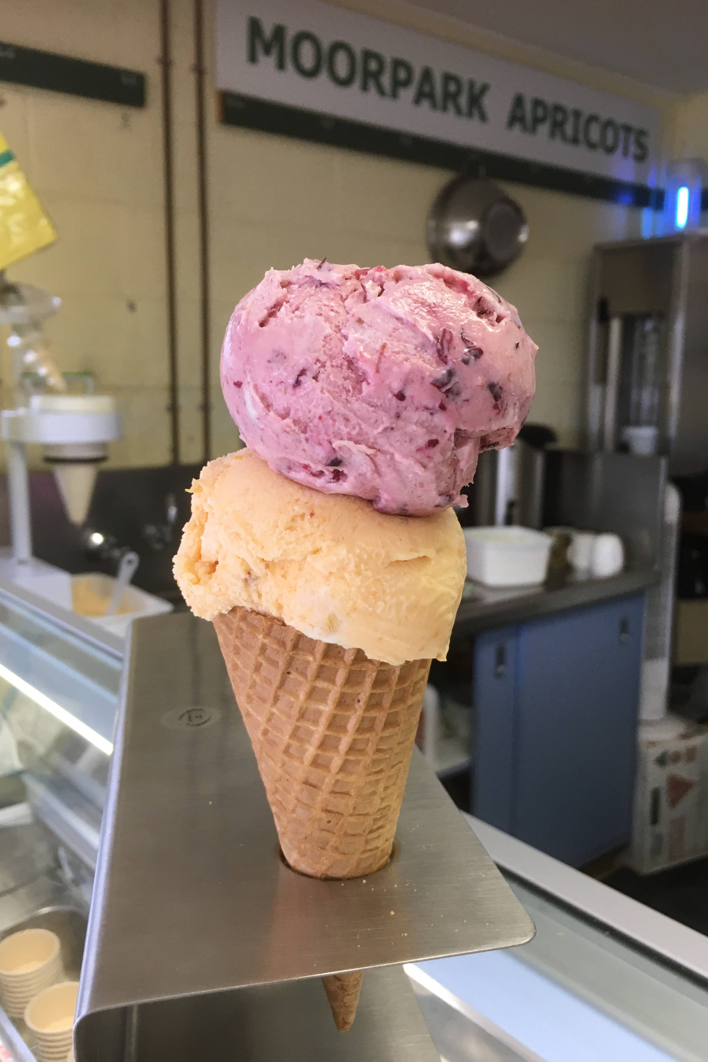 Ice cream cone in a holder with a scoop of vanilla ice cream and a scoop of berry ice cream on top. Photo: Lowdina Orchard.