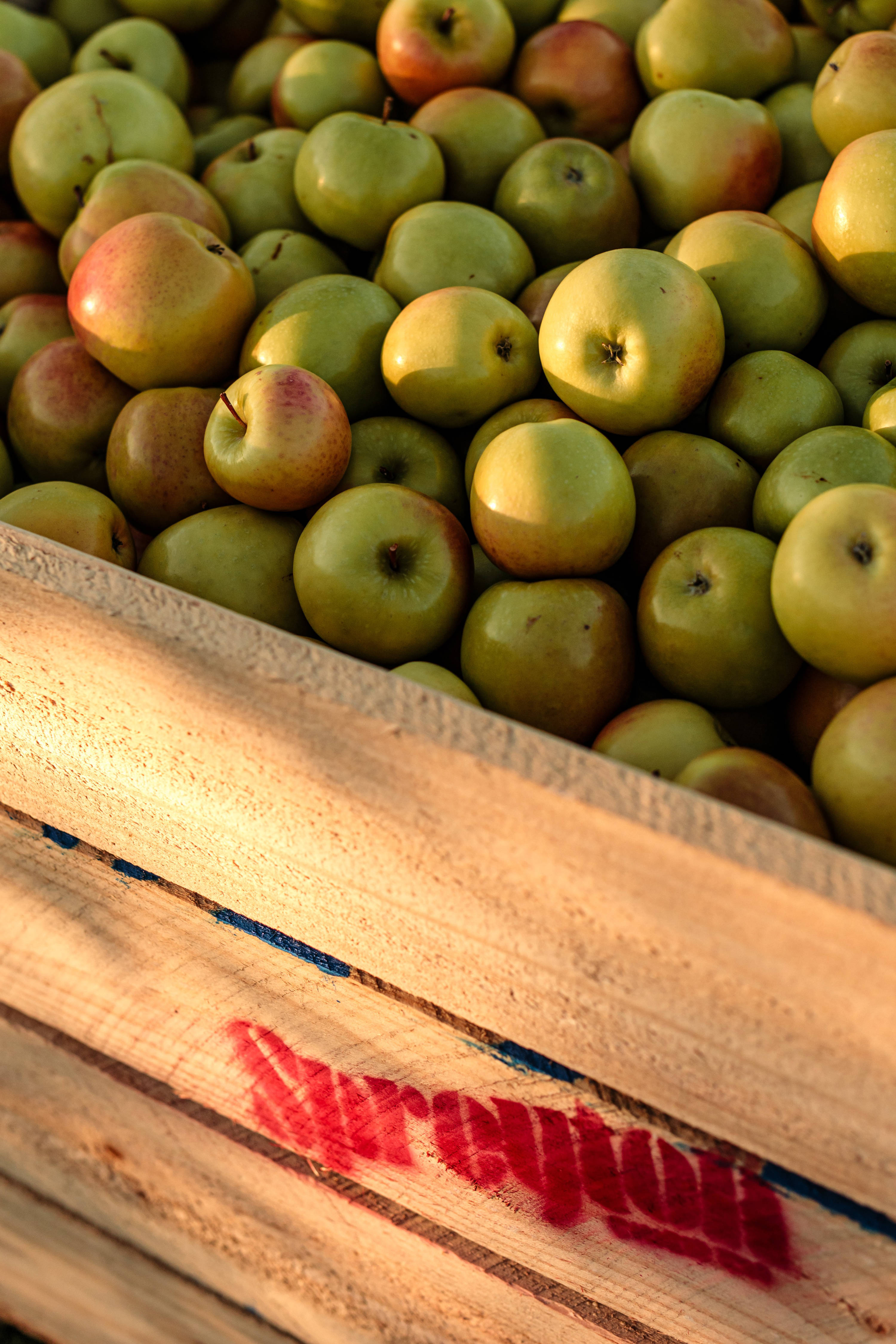Wooden crate branded &lsquo;Spreyton&rsquo; filled with pink and yellow coloured apples. Photo: Spreyton Fresh.
