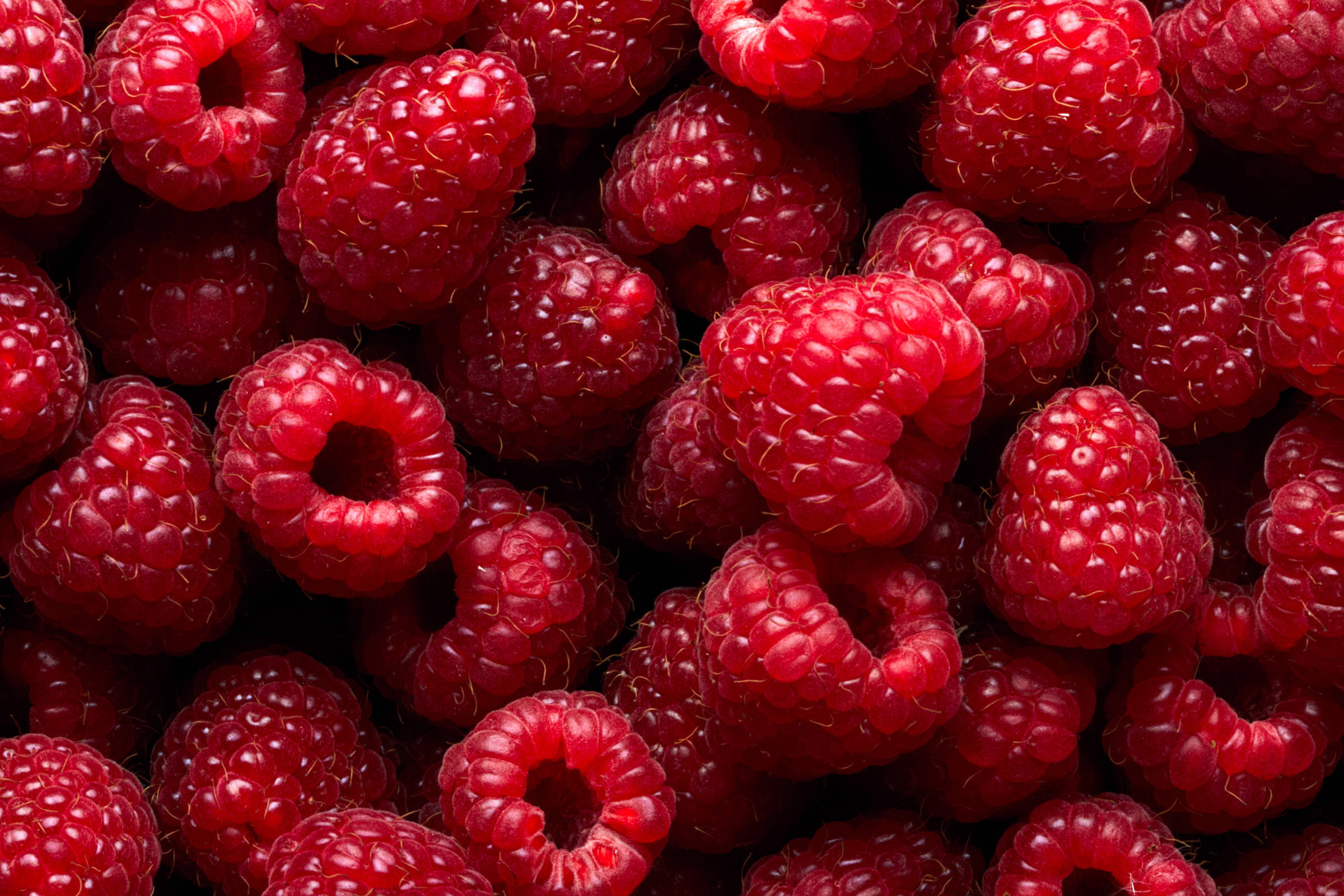 Raspberries close-up. Photo: SJ Travel Footage.