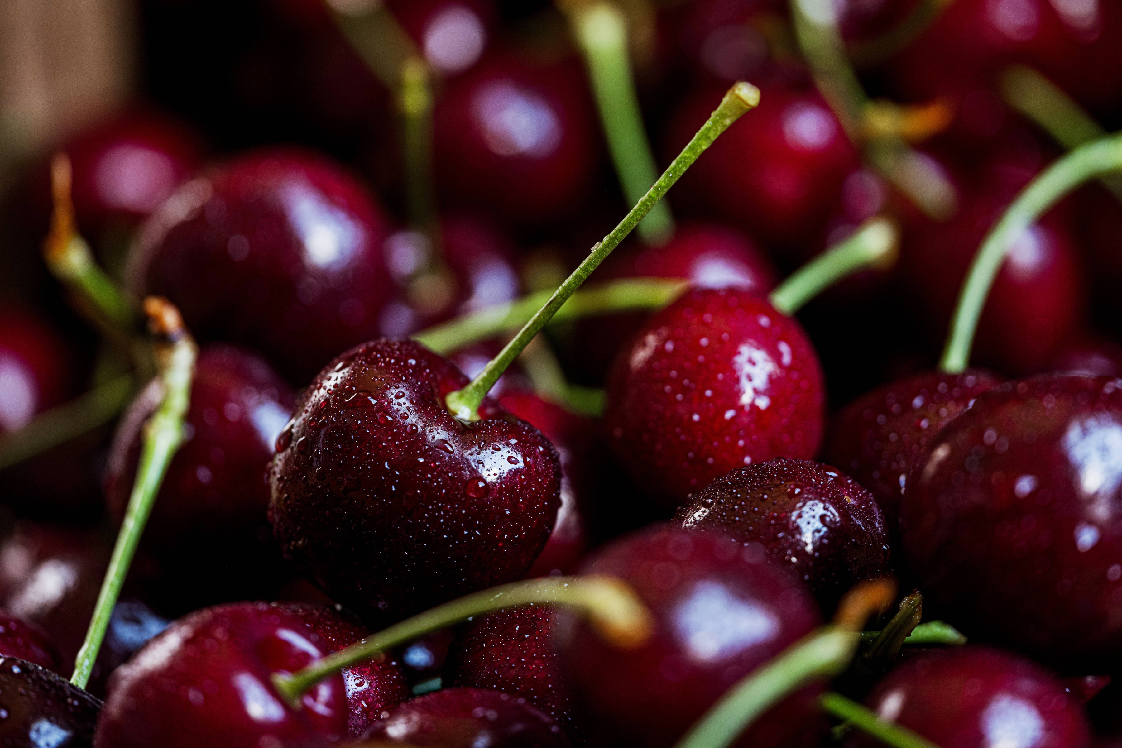 Cherries by Cherries Tasmania. Photo: Andrew Wilson.